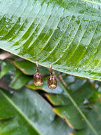 Taimana Kōura Huggies