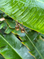 Taimana Kōura Huggies