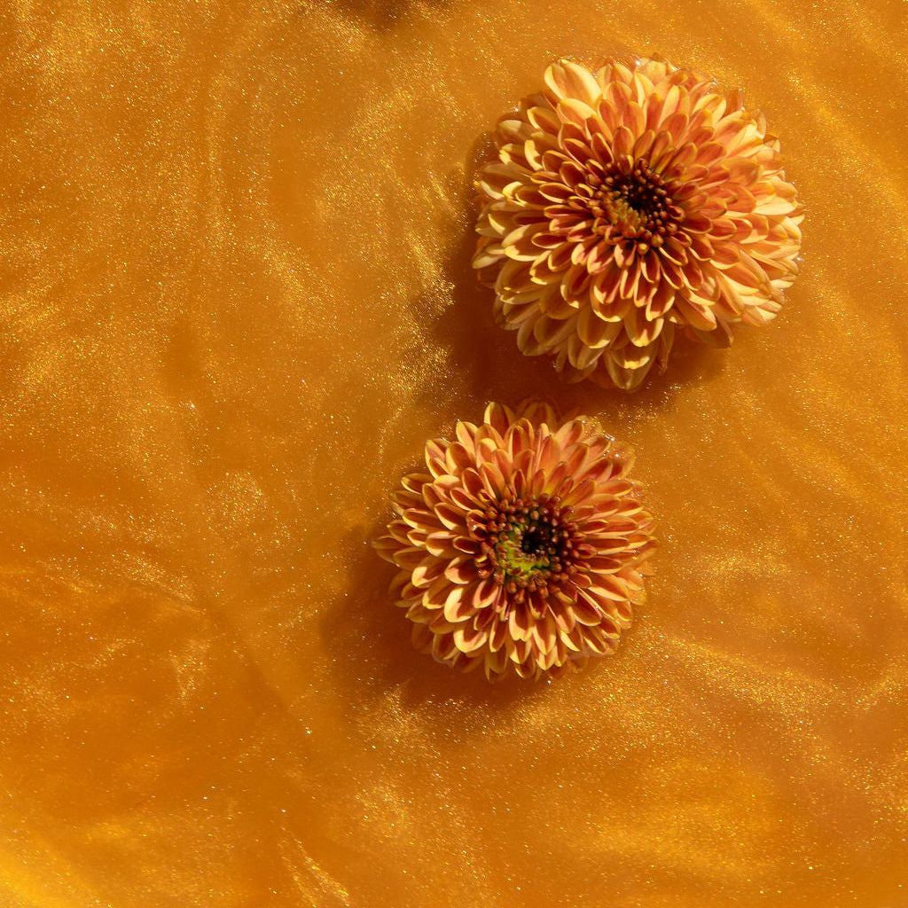 Golden Daydream (edible glitter infused tea) | Better Tea Co